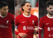 v1xBit体育网址-利物浦中场大将伤愈复出，战帕尔梅拉斯阵容稳固的简单介绍