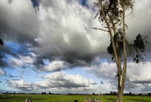 1xBit体育网页版-萨索洛中场表现出色，助球队取得宝贵胜利