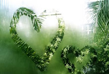 1xBit体育官方登录入口-多特蒙德或成德甲夺冠黑马，榜首争夺激烈备受关注，多特蒙德在德甲地位