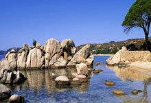 1xBit体育链接-黄蜂主将受伤下场，球队面对挑战