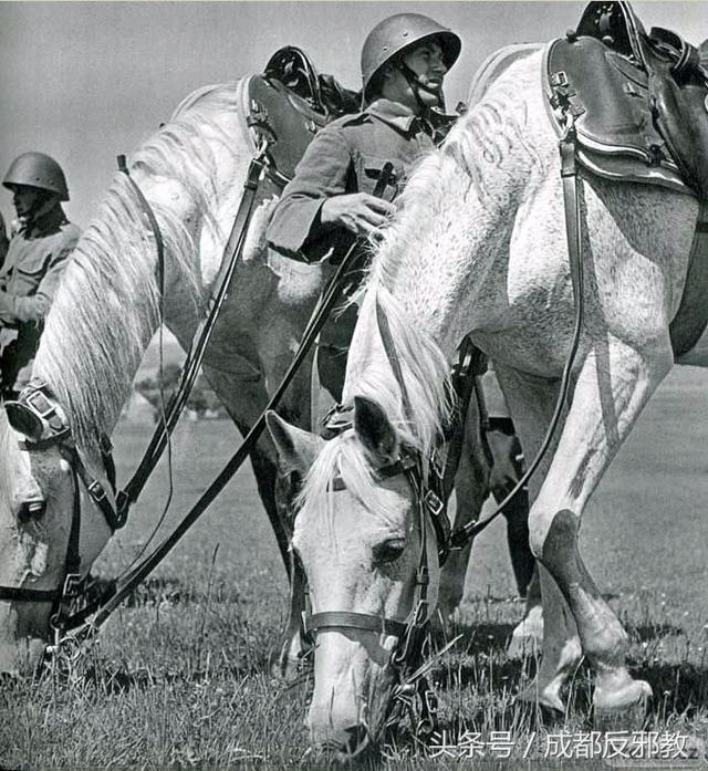 捷克战胜斯洛伐克，实力胜出领跑分组的简单介绍